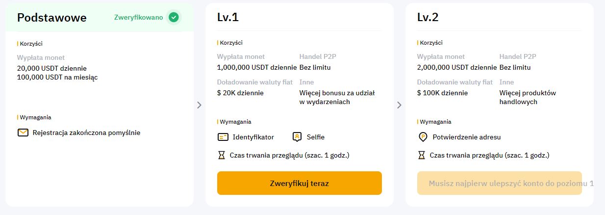 Bybit poziomy weryfikacji